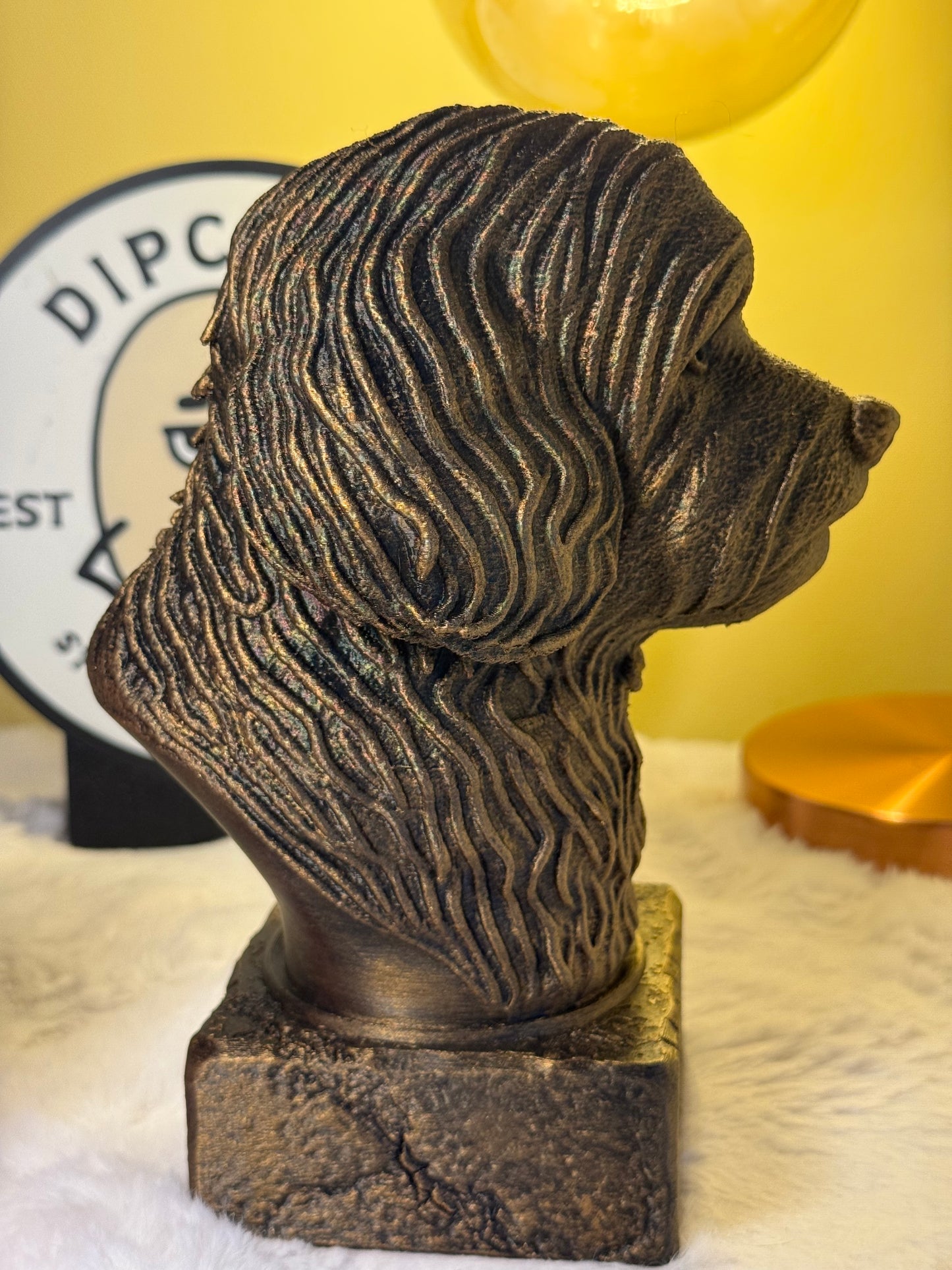 Havanese Antique Bust