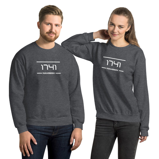 Sweater - 1741 - Wambeek (M/V)